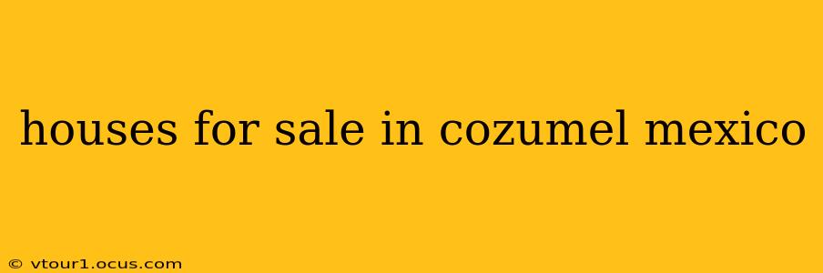 houses for sale in cozumel mexico