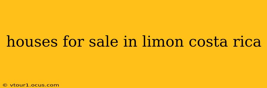 houses for sale in limon costa rica