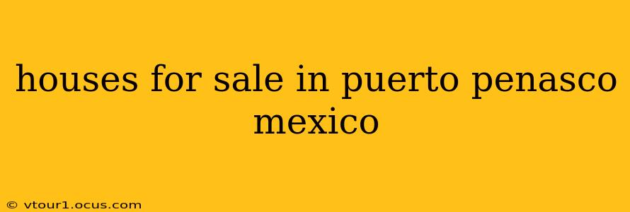 houses for sale in puerto penasco mexico