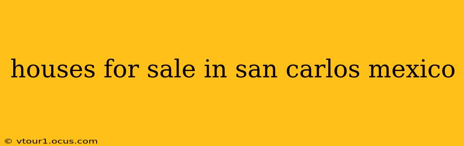 houses for sale in san carlos mexico