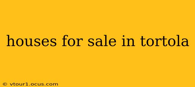 houses for sale in tortola
