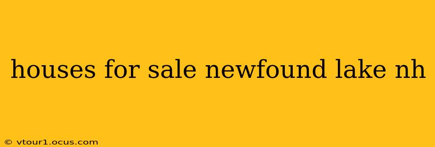 houses for sale newfound lake nh