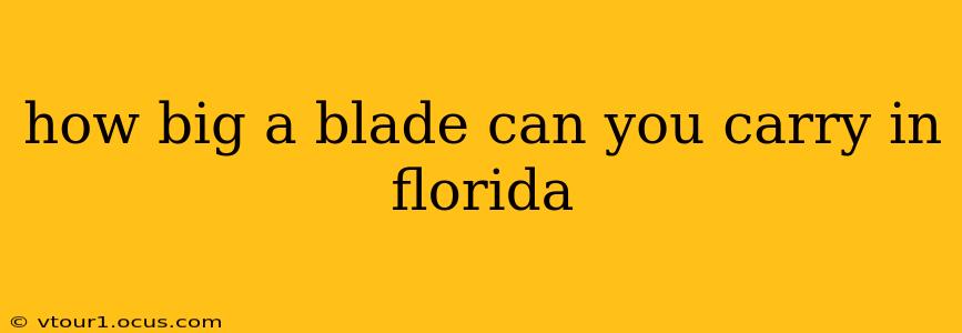 how big a blade can you carry in florida