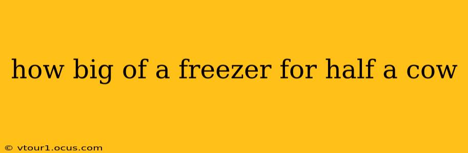 how big of a freezer for half a cow