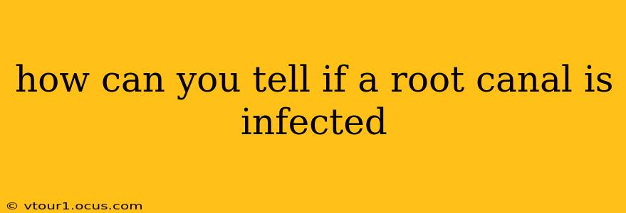 how can you tell if a root canal is infected
