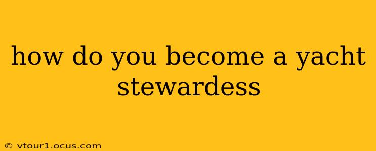 how do you become a yacht stewardess