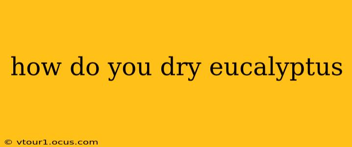how do you dry eucalyptus