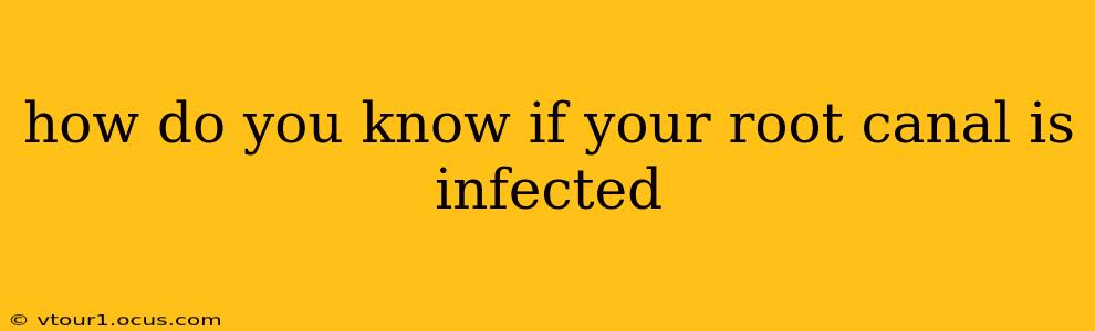 how do you know if your root canal is infected