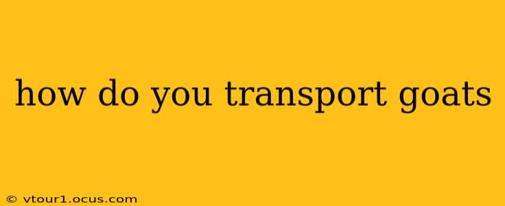 how do you transport goats