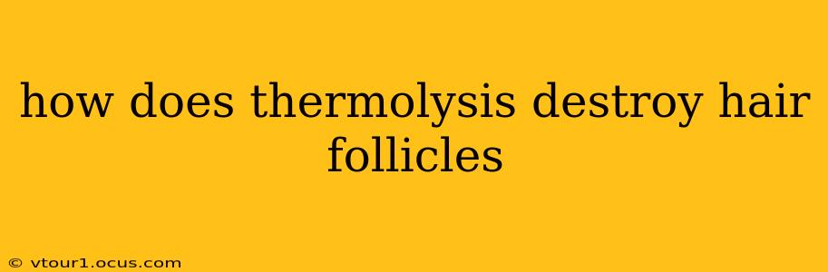 how does thermolysis destroy hair follicles