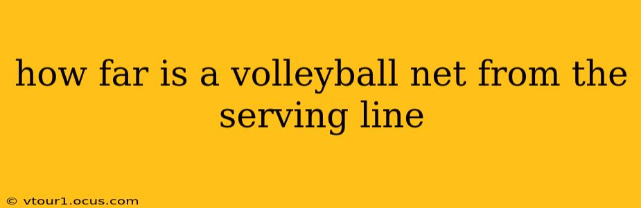 how far is a volleyball net from the serving line