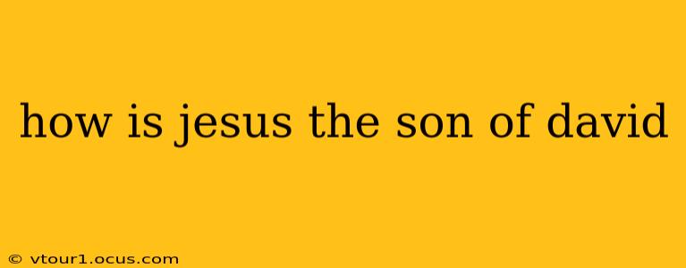 how is jesus the son of david