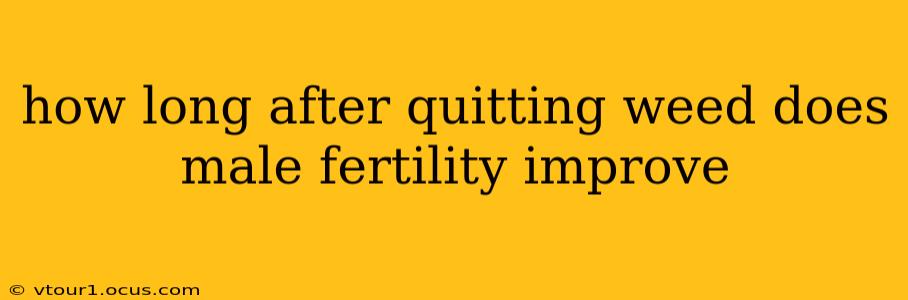 how long after quitting weed does male fertility improve