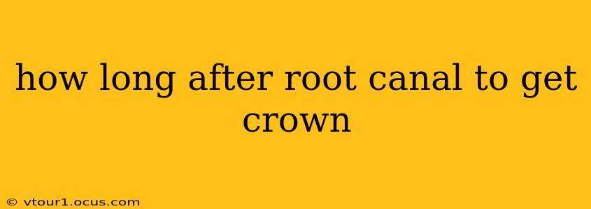 how long after root canal to get crown