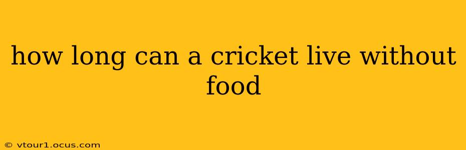 how long can a cricket live without food