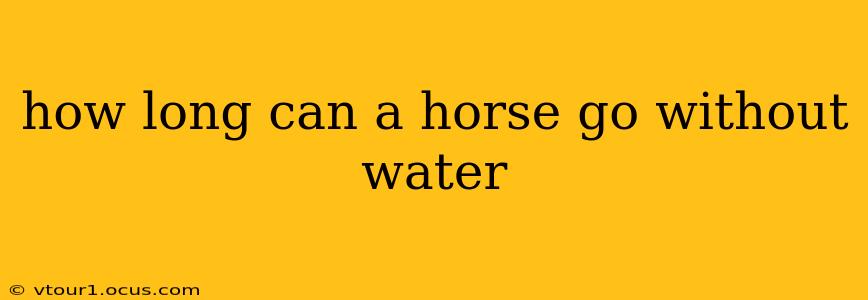 how long can a horse go without water