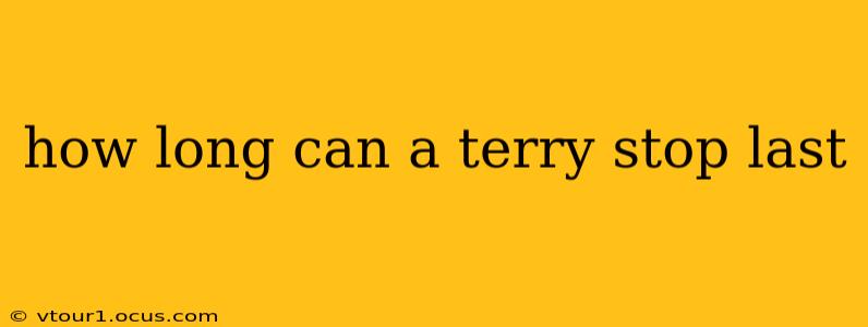 how long can a terry stop last