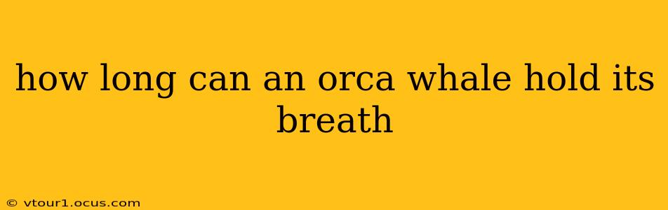 how long can an orca whale hold its breath