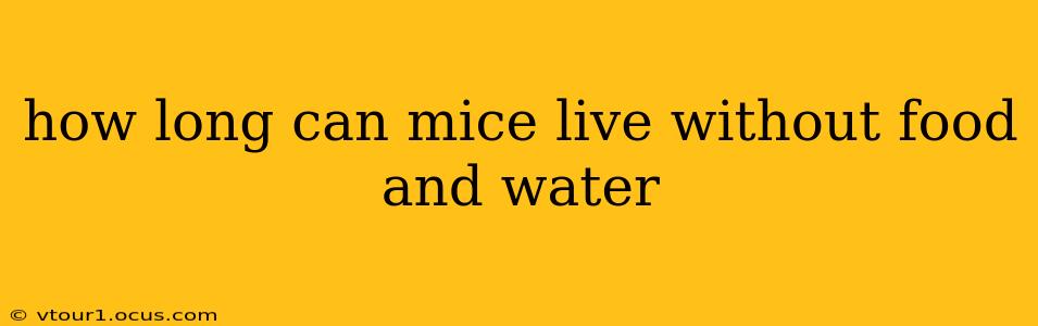 how long can mice live without food and water