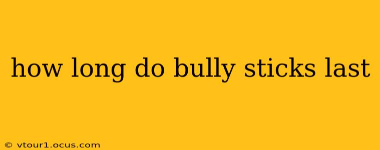 how long do bully sticks last