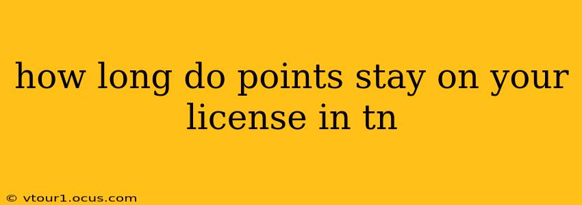 how long do points stay on your license in tn