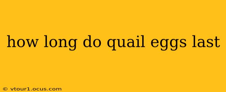 how long do quail eggs last