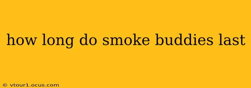how long do smoke buddies last