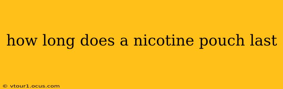 how long does a nicotine pouch last