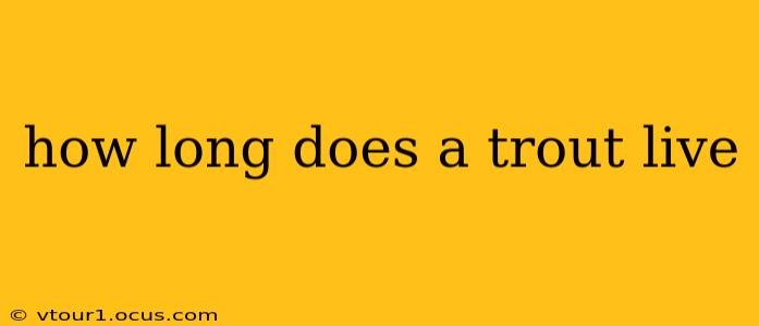 how long does a trout live