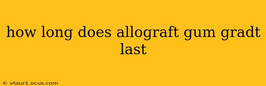 how long does allograft gum gradt last