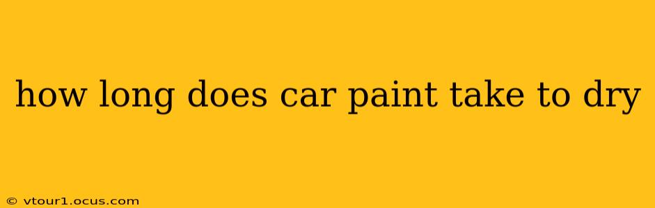 how long does car paint take to dry