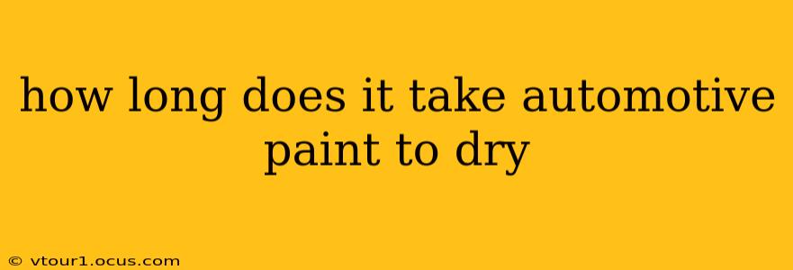 how long does it take automotive paint to dry