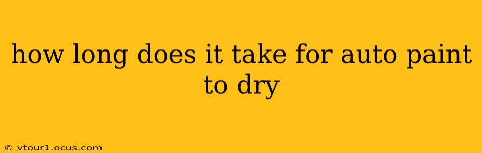 how long does it take for auto paint to dry