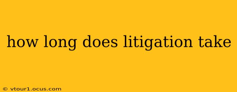 how long does litigation take