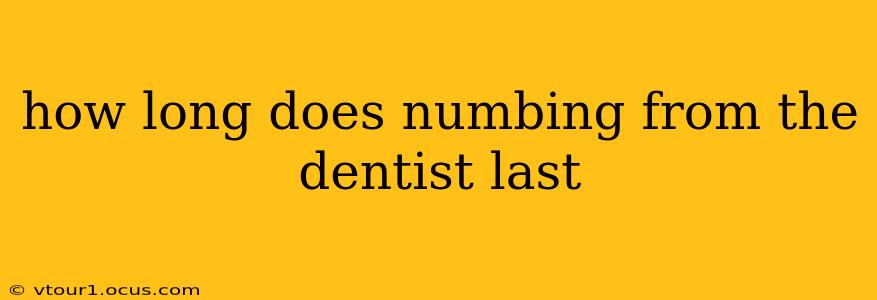 how long does numbing from the dentist last