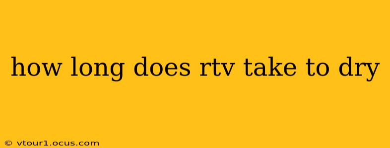 how long does rtv take to dry