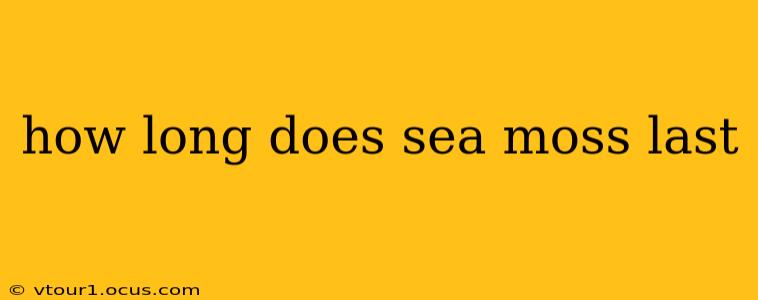 how long does sea moss last