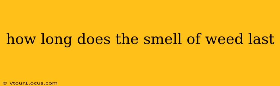 how long does the smell of weed last