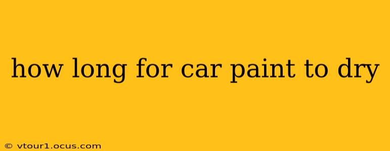 how long for car paint to dry