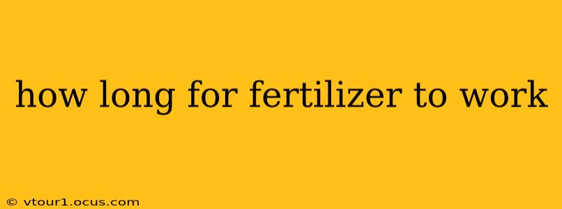 how long for fertilizer to work