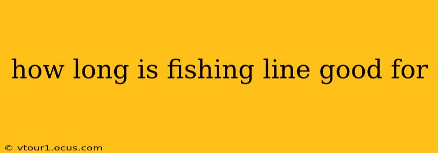 how long is fishing line good for
