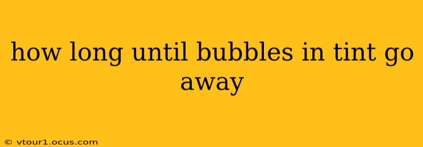 how long until bubbles in tint go away