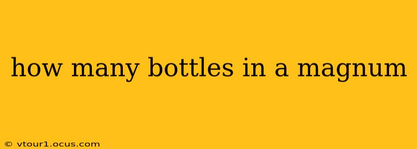 how many bottles in a magnum