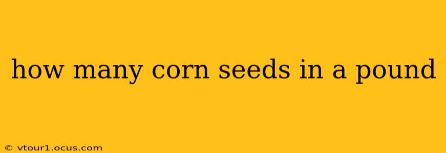 how many corn seeds in a pound
