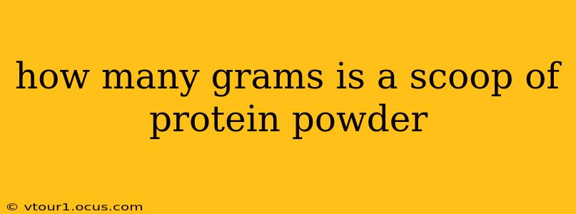 how many grams is a scoop of protein powder