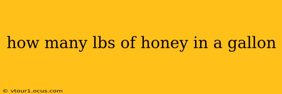 how many lbs of honey in a gallon