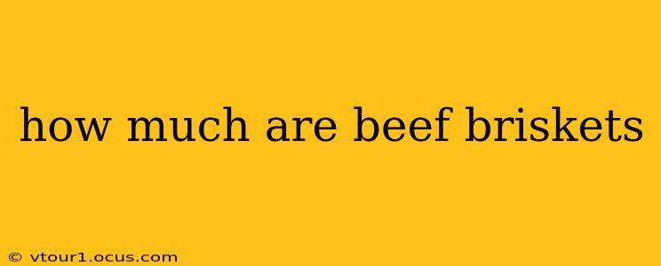 how much are beef briskets