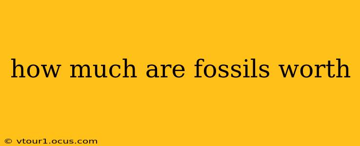 how much are fossils worth