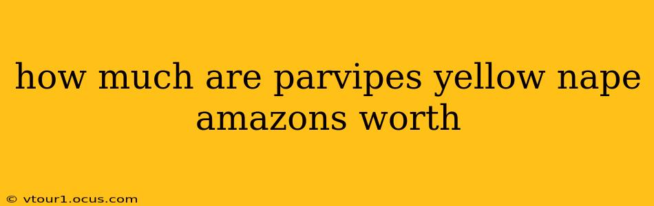 how much are parvipes yellow nape amazons worth