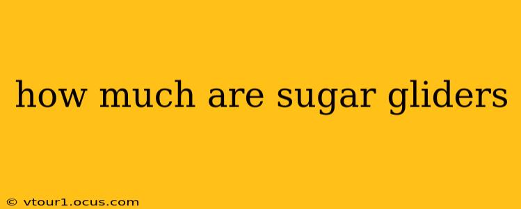 how much are sugar gliders